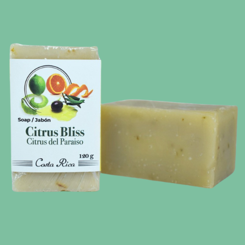 Citrus Blend Exfoliating Soap | Lemon, Lime & Orange Bar